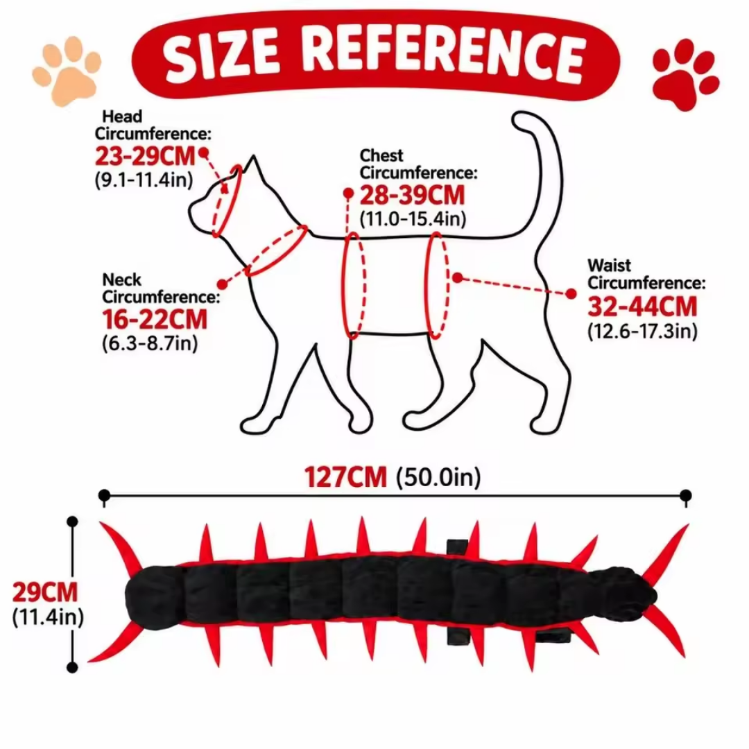 Centipede Cat🎃🐾