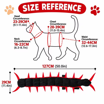 Centipede Cat🎃🐾