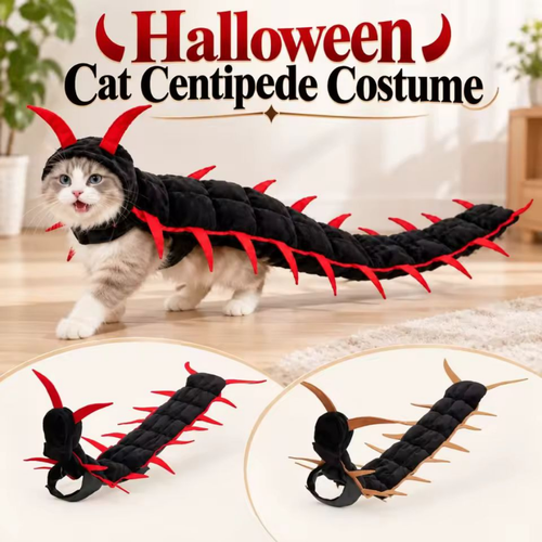 Centipede Cat🎃🐾