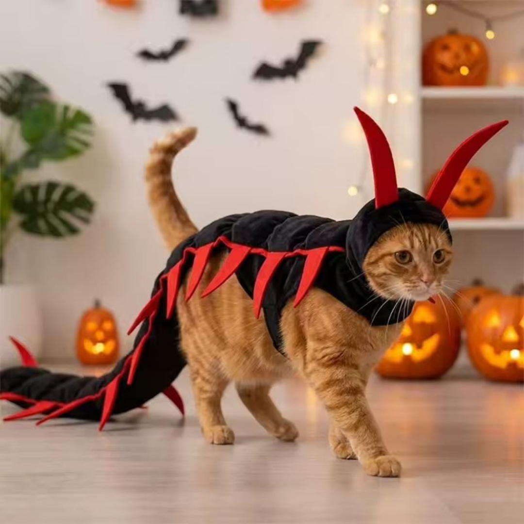 Centipede Cat🎃🐾