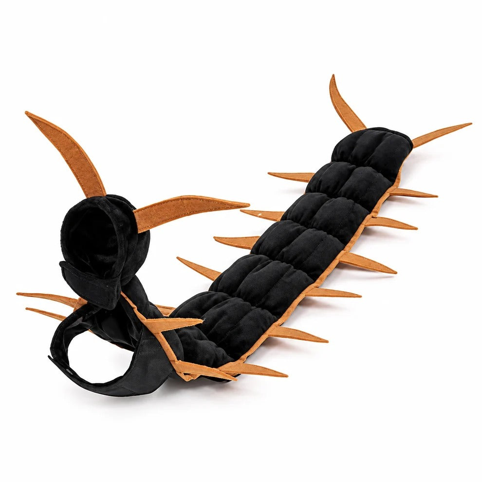 Centipede Cat🎃🐾